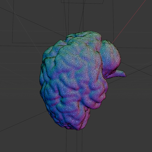 🧠 Detailed Realistic Brain 3D Model, Textured・ STL File for 3D printing ...