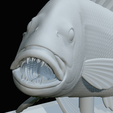 Dentex-trophy-59.png fish Common dentex / dentex dentex trophy statue detailed texture for 3d printing