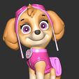2_4.jpg Skye - Paw Patrol