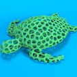 Startup.bip.323.jpg Voronoi sea turtle - Small fish hiding space