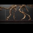 untitled.17.jpg Iguanodon Bernissartensis part 2
