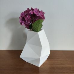 LowPolyTall2.jpg Fichier STL Vase asymétrique à faible teneur en polyéthylène・Design à télécharger et à imprimer en 3D