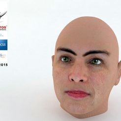 woman2_display_large.jpg Archivo STL gratuito Mujer Jefe por NQT2015・Idea de impresión 3D para descargar