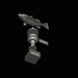 peacock-bass-trophy-3-1-2-16.png Peacock bass (Cichla ocellaris) fish trophy cup 2 for 3d printing