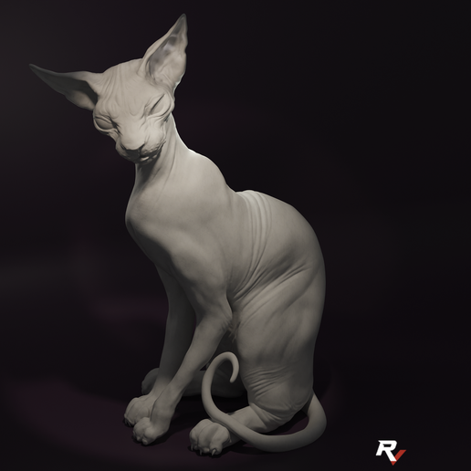 SPHYNX CAT