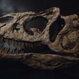 DSC_0182-1500px.jpg Allosaurus skull