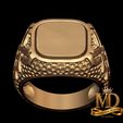 5.jpg Celtic Signet Sterling Silver Ring