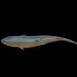 pstruh-klacky-1-11.png rainbow trout 2.0 underwater statue detailed texture for 3d printing