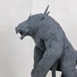 IMG_1963.jpg Free STL file Rattus Muscularis・3D printable design to download