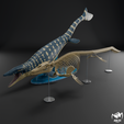Mosasaurus-h-bodyandskeleton-2.png Mosasaurus hoffmanni 3D print model