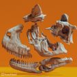 carnotaurus14.jpg Carnotaurus sastrei skull reconstruction