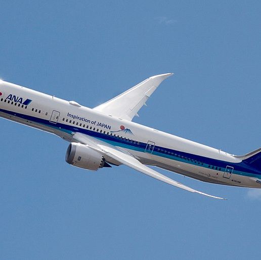 🛩️ Boeing 787-800・ 3D File for 3D printing・Cults