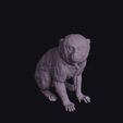 Pygmy-20Marmoset_0001.jpg Sitting Pygmy Marmoset Figurine