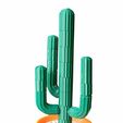 b42964bc-029c-4680-910f-8f37ae07c380.jpg Modular desert cactus