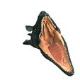 8.jpg DOWNLOAD MOSASAURUS 3D MODEL DINOSAUR PREDATOR RAPTOR FISH SEA BEAST HUNTER MONSTER PREHISTORIC DINOSAUR SHARK FBX STL OBJ BLEND FILE ANIMATED