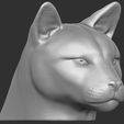 12.jpg Cougar / Mountain Lion head for 3D printing