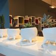 IMG_3736.JPG Archivo STL gratis "Molcajete" Flowerpot Line・Plan imprimible en 3D para descargar