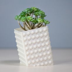 _MG_3617.jpg Fichier 3D Pisany | pot pour succulentes・Modèle pour imprimante 3D à télécharger