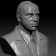 Al_0005_Layer 15.jpg Al Capone 3d model bust