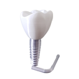 PhotoRoom-20230907_112527.png Dental implant