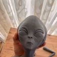 ImportedPhoto.761818970.903206.jpeg Grey Alien Wall Bust
