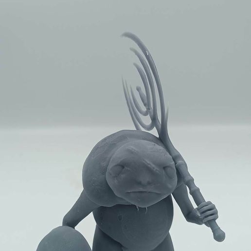 345168307_282132547616155_4770466142223986382_n.jpg Anillo de Elden Coágulos sanguíneos albinúricos