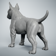 BT-1.png Bull Terrier Dog