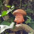 DSC_9649.jpg Animated Mushroom Child