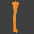 5.png 3D Model of Tibia Bone
