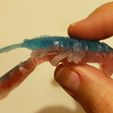 20190815_192948.jpg Craw Mold for Silicone Soft Bait