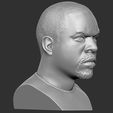 10.jpg Ice Cube bust 3D printing ready stl obj formats