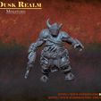 SILS Presupported TDN a A BD | Ge MINIATURES & v Dusk REALM Ue Ue Scions of the Elite