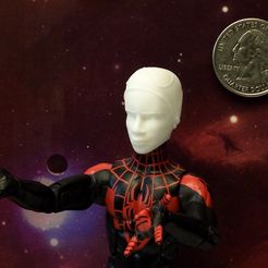 ys Free 3D file Legends Spiderverse Miles Morales・Model to download and 3D print, ceive