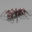 hormiga modelo 3d.jpg Realistic ant