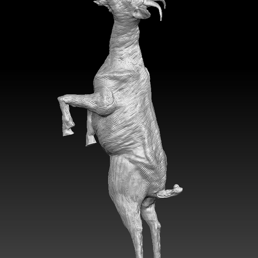 ZBrush_0fSUUyIXsx.png Cabra de pie