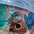 WhatsApp-Image-2021-06-13-at-17.32.37-(1).jpeg STL file Hamster's house - Hamster's house・3D printable model to download