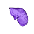 00001.stl 3D Model of Model of Abdominal Organs - generated from a real patient