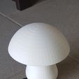 20170826_171150.jpg Archivo STL gratis Luz ambiente luminoso Cepe・Diseño por impresión en 3D para descargar
