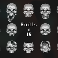 skull-models-x-15.png Skulls