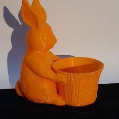 Easter Bunny Toy/Pot/Planter