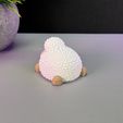 IMG_3953.jpg Cute Sheep