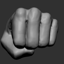fist-model-3d-model-obj-stl-ztl (2).jpg Fist Model 3D model