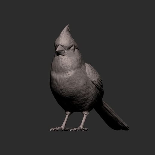 🐦 northern cardinal・ STL File for 3D printing・Cults