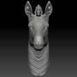 5.jpg 3d print model of Zebra head.