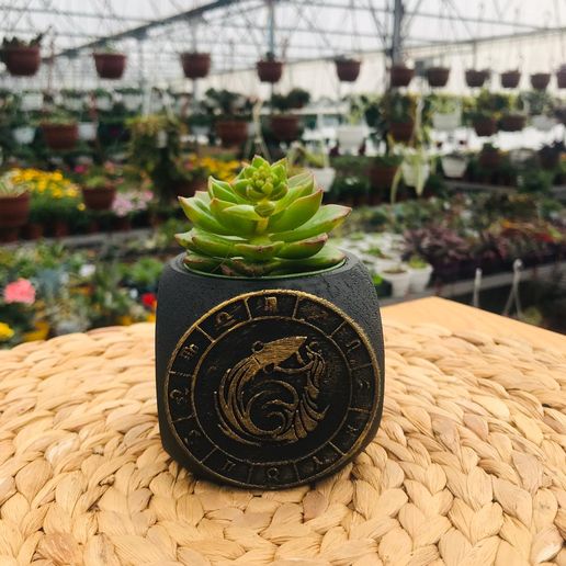 Zodiac Aquarius Planter Pot 3D model