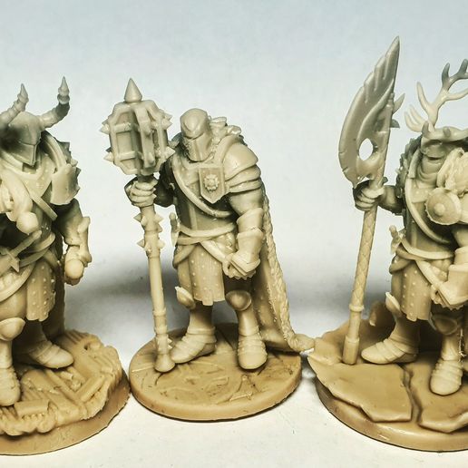 Paladin twins 3D model