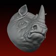 10.jpg Rhino head