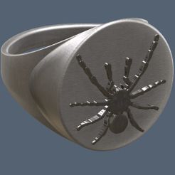 Ring.jpg Télécharger fichier STL Anneau Araignée • Modèle pour imprimante 3D, omni-moulage