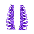 Alien_Skull_Spine3and4.stl STL file Alien Skull・3D printing template to download