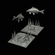 carp-scenery-45cm-26.png two carp scenery in underwather for 3d print detailed texture